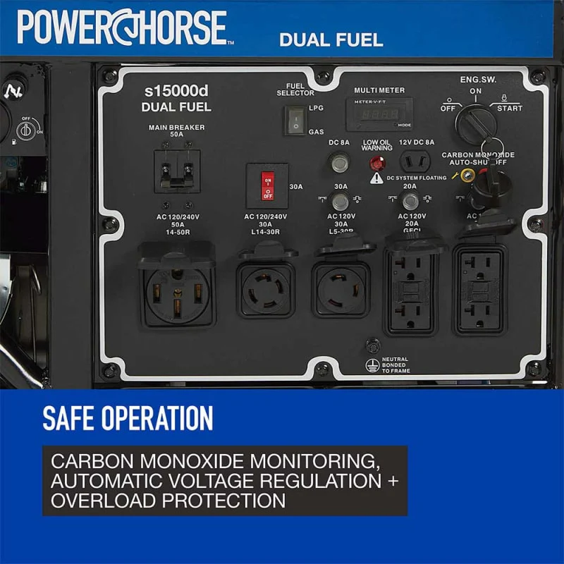 Powerhorse Generator | 15,000 Surge Watt | Dual Fuel | Electric Start - Image 10