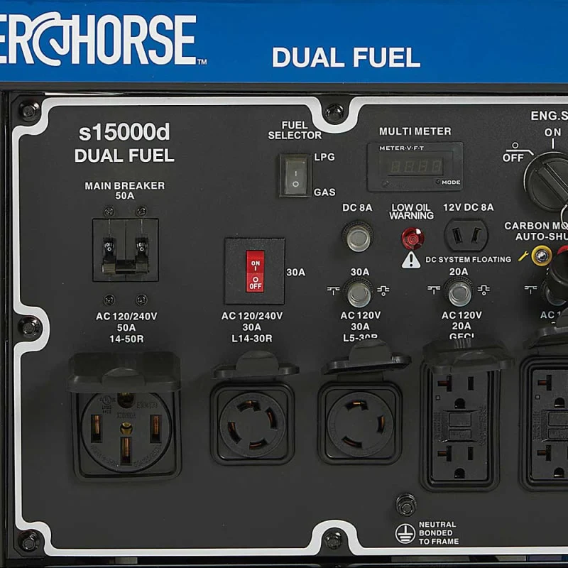 Powerhorse Generator | 15,000 Surge Watt | Dual Fuel | Electric Start - Image 5